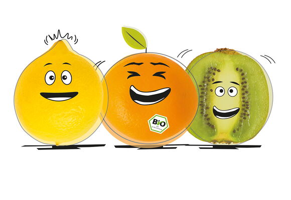 Grafiken für das  FRISCH/FRUCHT/WERK